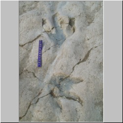 100_0452 (2009-26-07)m.JPG